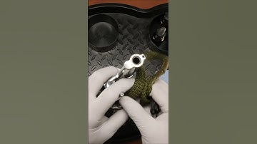 ASMR Gun Cleaning: Colt King Cobra #colt #asmr #guncare