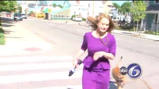 Woman arrested for the assault on ABC6 crew on assignment