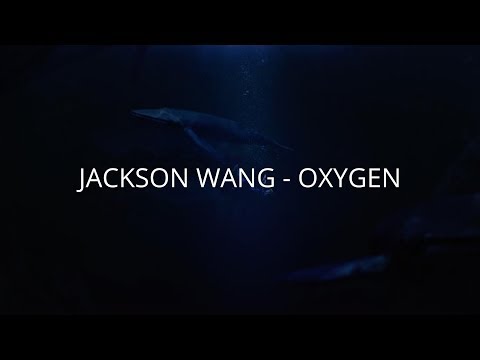 JACKSON WANG - OXYGEN [ Lyric video ] (eng.sub)