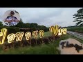 M Mode 25 degrees DJI Avata 2 flight in Thailand