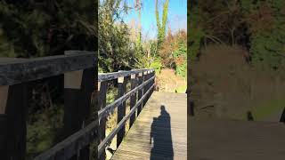 Studios Walk, Shepperton