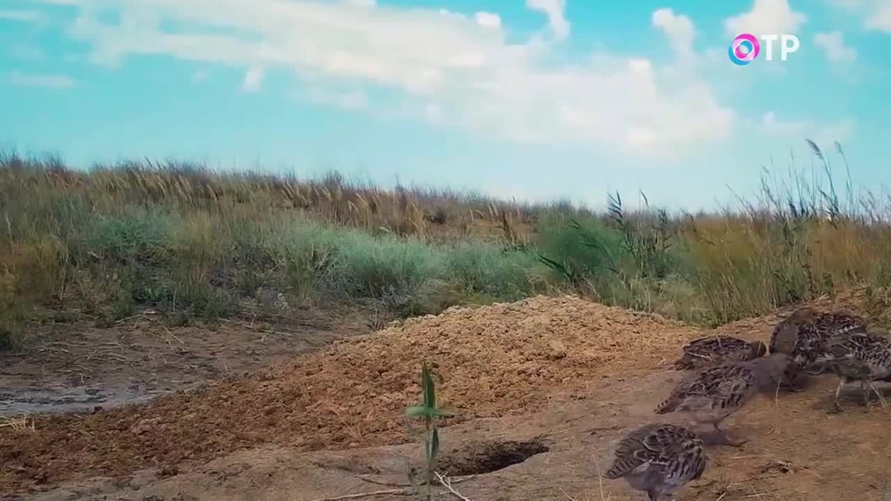 В поисках впечатлений. Навстречу утренней заре - YouTube