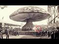 Why They Destroyed the Only Mushroom That Cured Every Disease