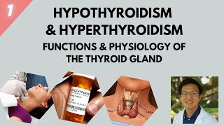 Hypothyroidism & Hyperthyroidism part 1 | Functions and Physiology of the Thyroid Gland