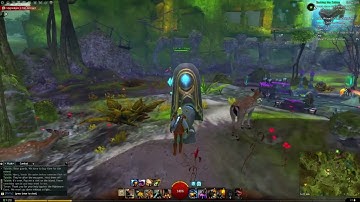 Guy laughs at Guild Wars 2 Robot