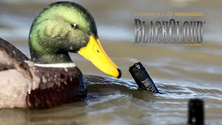 Best of Duck Hunts from 2023-2024 Season | Part 1 | Black Cloud