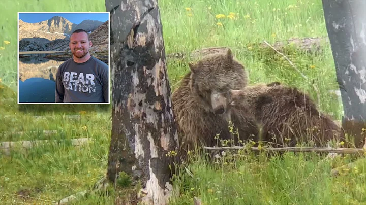 BrushBuck Wildlife Sightings: A Montage Of Grizzly Bears, Mountain Goats, Pronghorns, Wolf