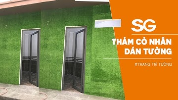 Thảm cỏ nhân tạo 1cm dán tường trang trí cửa hàng | Cỏ Nhân Tạo SG