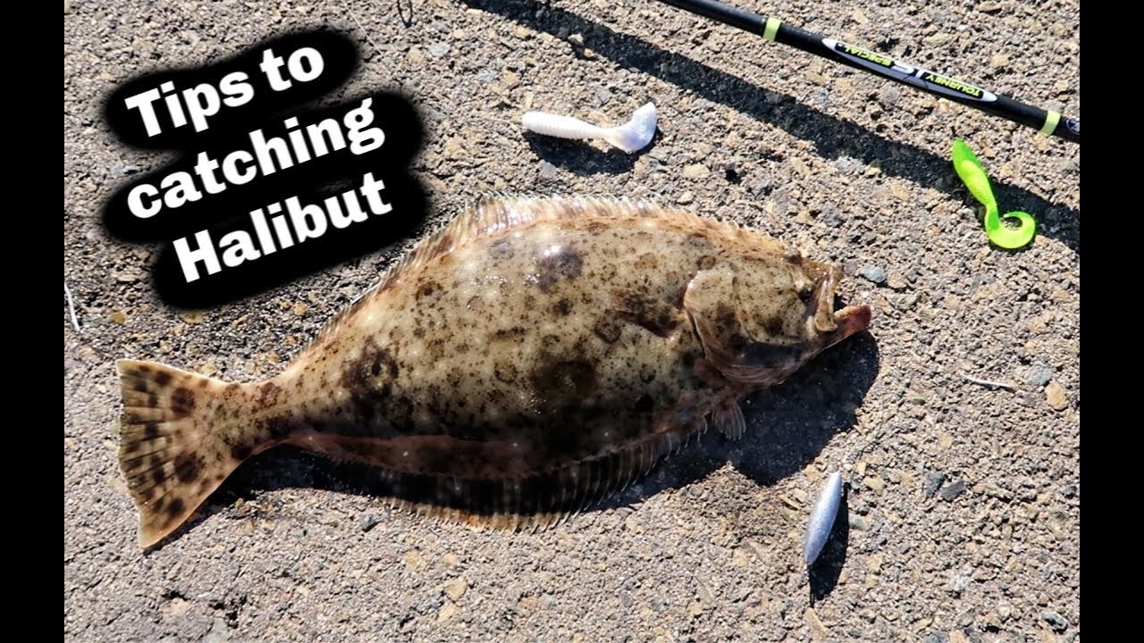 Fishing For California HALIBUT  2 Favorite Lures on Dropshot