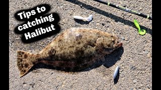 Quick tutorial of catching the california halibut. 3 tips and 2 my
favorite lures on drop shot for targeting hope you enjoy please
comment, l...