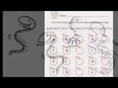 Best Worksheets To Do In The Preschool