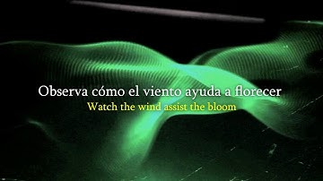 Drip133 - Skew ft. Bones Lyrics (Sub. Español)