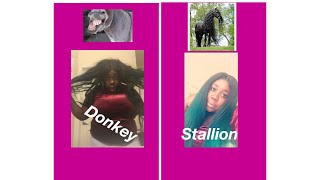 How To Revamp An Old Wig From Donkey To Stallion