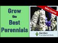 How to Grow The Best Perennials ?????? Mini Course on Growing Perennials