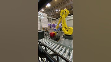 1001 semi-automatic robotic palletising system at PPMA 2021