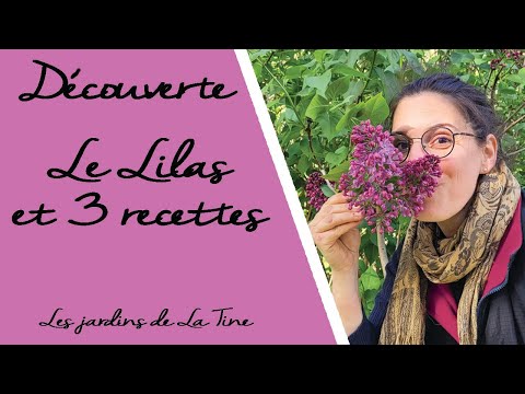 Video: Վիստերիայի ծաղիկները ուտելի՞ են: