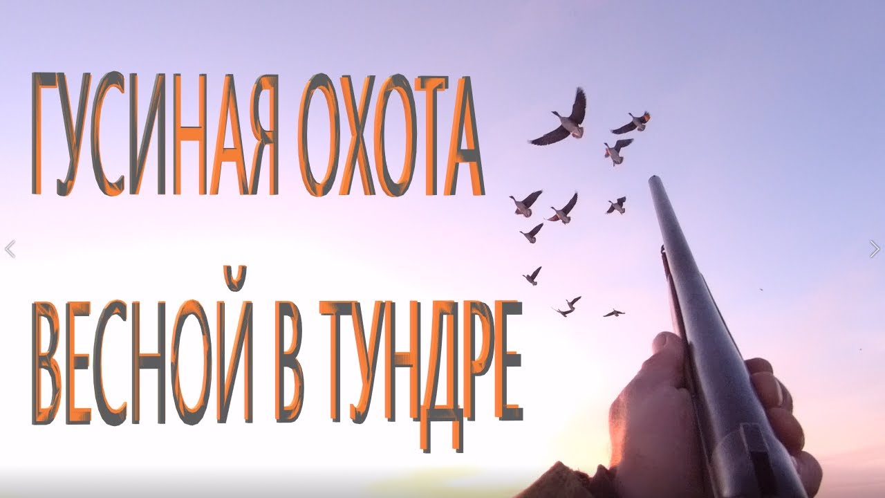 Охота на гусей, в тундре! Весна. 18+?????? - YouTube
