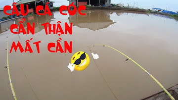 🐟Fishing 260🐟Câu Cá Ngoài Bè Câu Cá Cóc Mùa Nước Đục Tới Nước Lụm Hàng Cá Ngon🐟