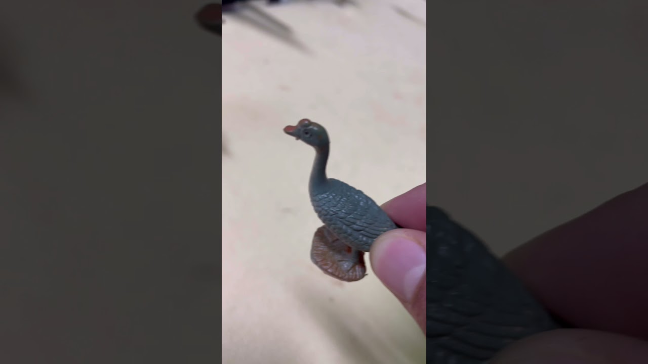 Animals sounds/ animals collection/ duck collect/ collect cat / cockroach collect/