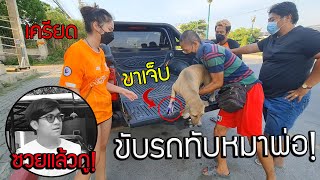 พลาด!! ขับรถทับหมาพ่อ รีบพาไปโรงพยาบาลด่วน!