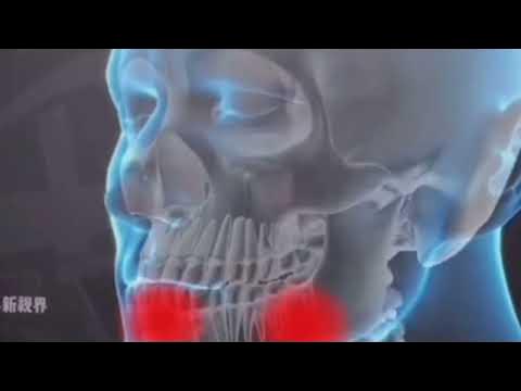 Porno komikslar qolga 2