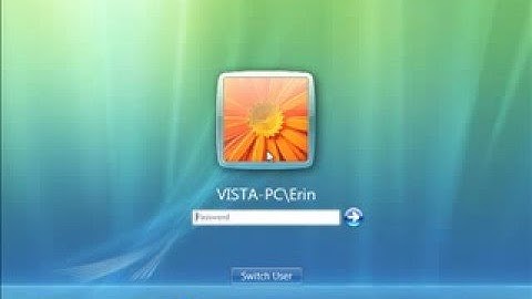 LearnKey Learning Windows Vista