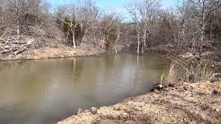 New pond is full , now time to finish cleaning up around pond and stock the fish. by Jon Matlock 15 views 1 year ago 1 minute, 53 seconds