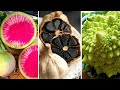 10 Vegetais, Legumes e Verduras RAROS e EXÓTICOS Que São Únicos no Mundo