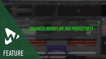 Enhanced Workflow & Productivity | New Features in WaveLab 12
