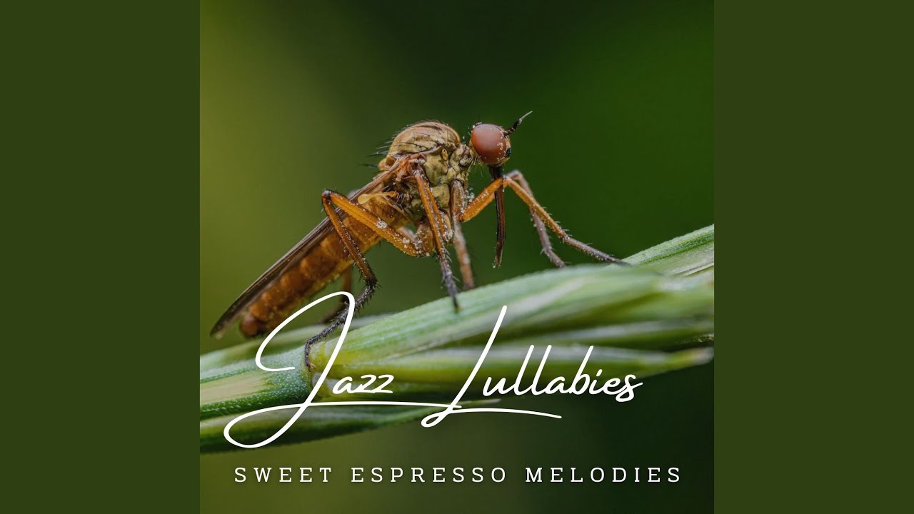 Baby's Coffee Shop Swing