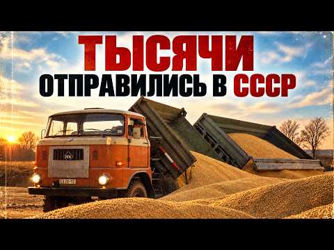 Which GDR trucks actually drove in the Soviet Union?