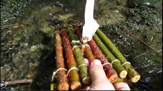 Viva - I Hoffe, I Füne Ummi Zrugg