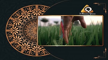 سوره الملك كامله الشيخ بندر بليله  امام الحرم المكى
