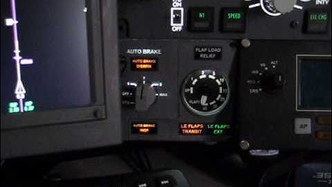 Flaps and Autobrake Panel