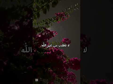 الل ه يناديك سحيرا الله يناديك سحيرا انشودة دينية اناشيد اسلامية اناشيد راحة القلب اناشيد هادفة