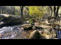 4K | Ruta de senderismo | Monasterio el Paular-Cascada del Purgatorio l Rascafria l Comunidad Madrid