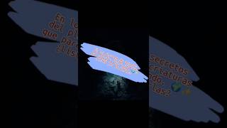 Top 5, Animales Mas Raros Del Mundo