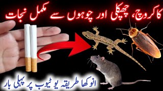 How To Get Rid of Cockroaches in Kitchen | How To Remove cockroaches From Home | Cockroaches killer