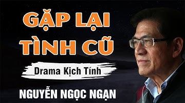 GẶP LẠI TÌNH CŨ - Vụng Trộm Với Người Xưa Và Cái Kết | Nguyễn Ngọc Ngạn