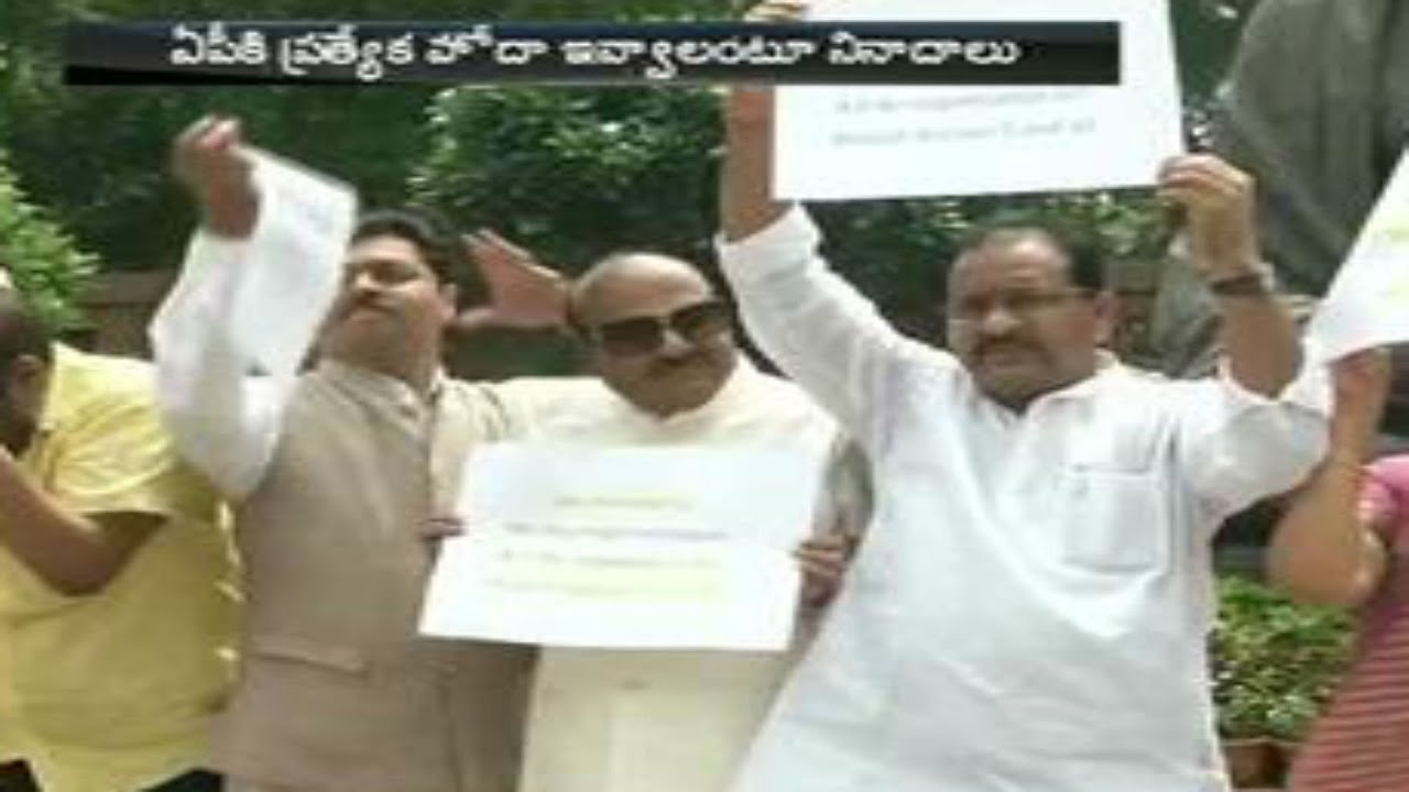 TDP MPs Protest At Parliament Demanding Special Status