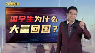 【亚视郎财经】留学生为什么大量回国？