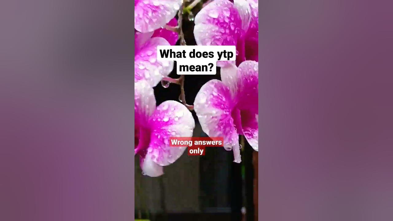 What Does Ytp Mean shorts trending YouTube what-does-ytp-mean-shorts-trending-youtube