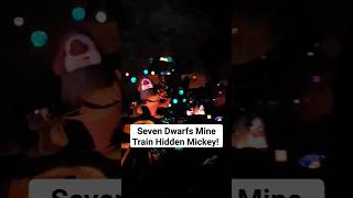 Hidden Mickey On Seven Dwarfs Mine Train