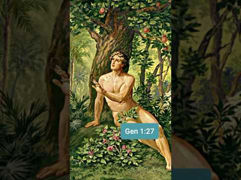 The secret connections between Adam & Jesus…