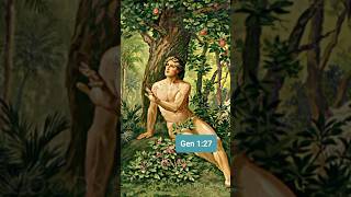 The secret connections between Adam & Jesus…