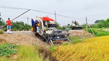 Ngày đầu vụ của a máy cắt lúa kubota dc70