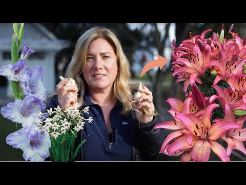 Video: Sommerblomstrende løg: Blomsterløg, der blomstrer om sommeren