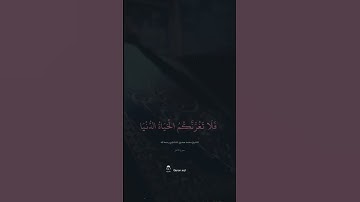 من سورة فاطر -المنشاوي