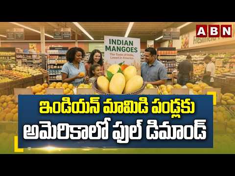 ABN OFFBEATS : ఇండియన్ మామిడి పండ్లకు అమెరికాలో ఫుల్ డిమాండ్ | Indian Mangoes in Demand in America - ABNTELUGUTV