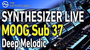 Deep Melodic Techno - MOOG Sub 37 - Synthesizer Live